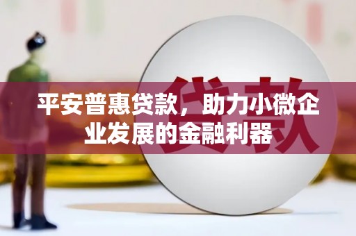 黔西南平安普惠贷款，助力小微企业发展的金融利器