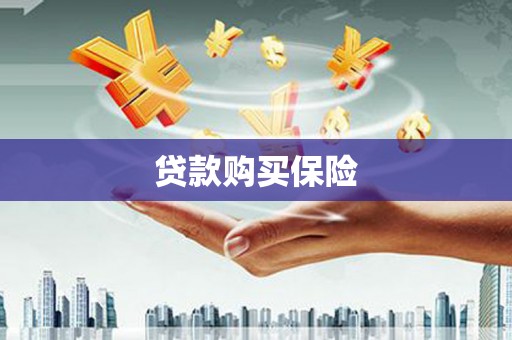黔西南贷款购买保险