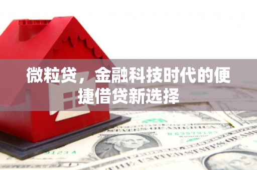 黔西南微粒贷，金融科技时代的便捷借贷新选择