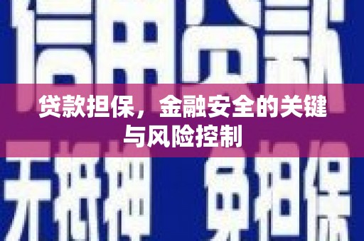 黔西南贷款担保，金融安全的关键与风险控制