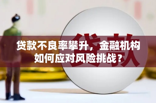 黔西南贷款不良率攀升，金融机构如何应对风险挑战？