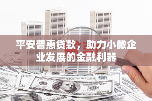 黔西南平安普惠贷款，助力小微企业发展的金融利器