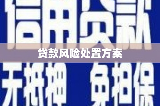 黔西南贷款风险处置方案