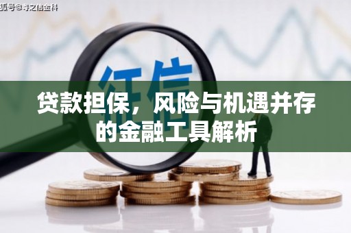 黔西南贷款担保，风险与机遇并存的金融工具解析