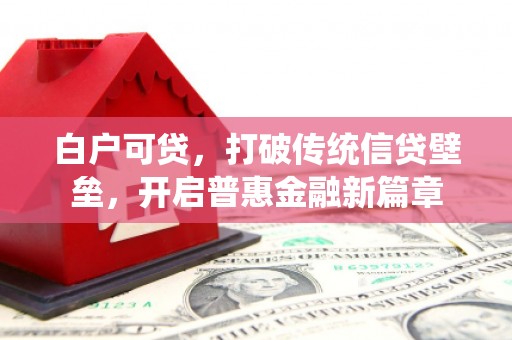 黔西南白户可贷，打破传统信贷壁垒，开启普惠金融新篇章