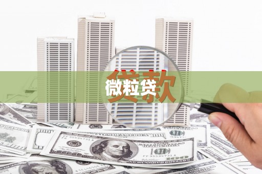 黔西南微粒贷