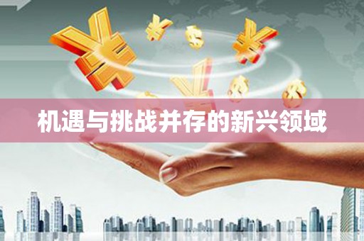 黔西南机遇与挑战并存的新兴领域