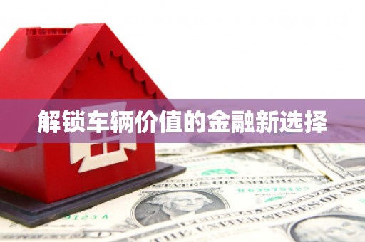 黔西南解锁车辆价值的金融新选择