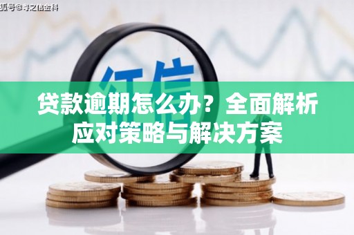 黔西南贷款逾期怎么办？全面解析应对策略与解决方案