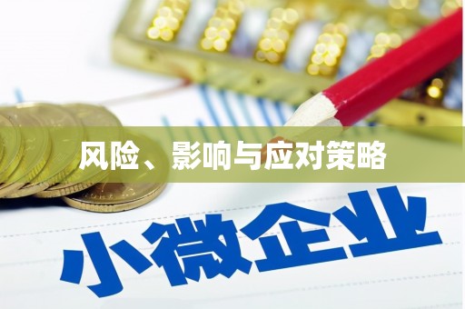 黔西南风险、影响与应对策略
