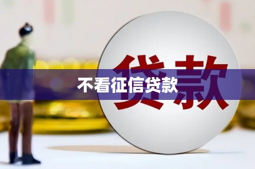 黔西南不看征信贷款