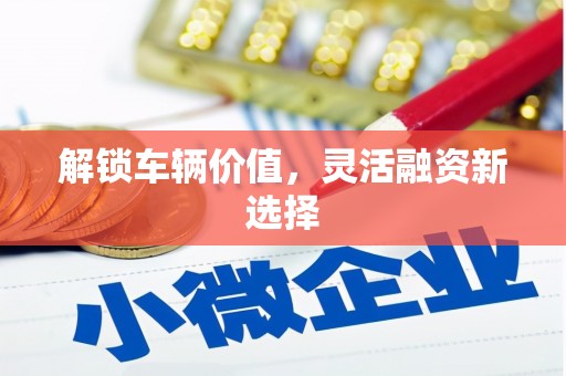 黔西南解锁车辆价值，灵活融资新选择