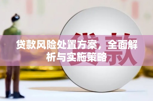 黔西南贷款风险处置方案，全面解析与实施策略