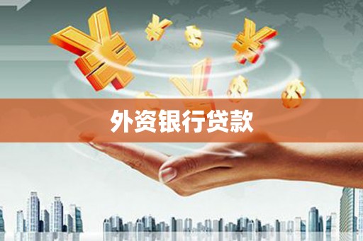 黔西南外资银行贷款