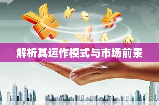 黔西南解析其运作模式与市场前景