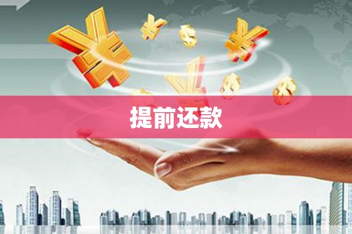 黔西南提前还款