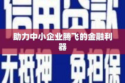 黔西南助力中小企业腾飞的金融利器