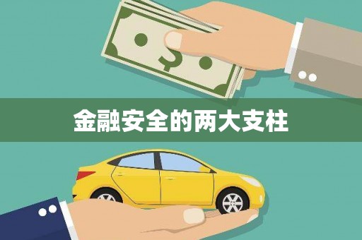 黔西南金融安全的两大支柱
