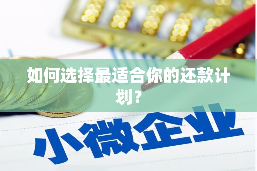 黔西南如何选择最适合你的还款计划？